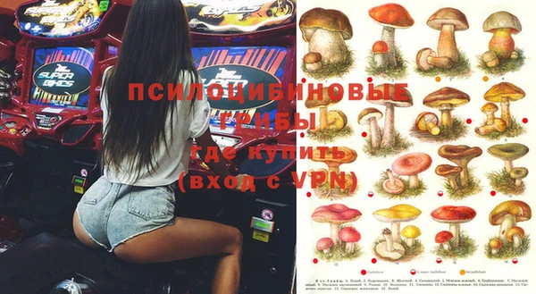 МДПВ Аркадак