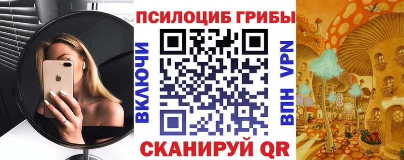 Галлюциногенные грибы GOLDEN TEACHER  где купить   Новоузенск 
