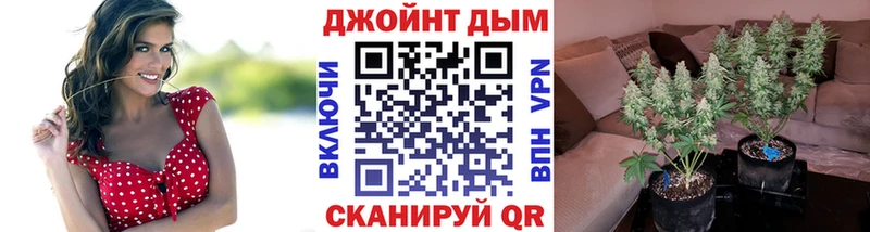 Марихуана план  закладка  Новоузенск 